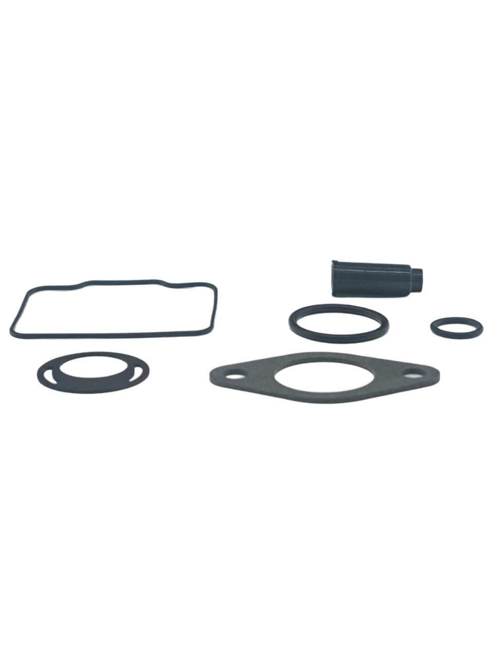 Low Front View of an LO206 Carburetor Rebuild Kit.