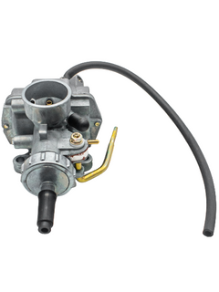 Mid Front Backward View of a Stock LO206 Carburetor.