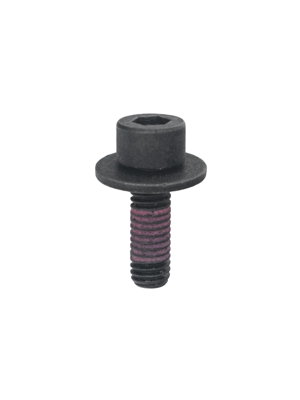 Overhead View of an LO206 Intake Manifold Bolt with Washer.