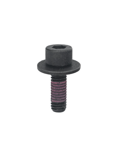 Overhead View of an LO206 Intake Manifold Bolt with Washer.