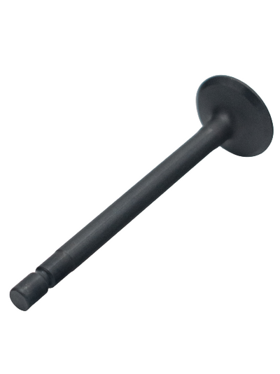 LO206 Exhaust Valve.