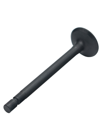 LO206 Exhaust Valve.