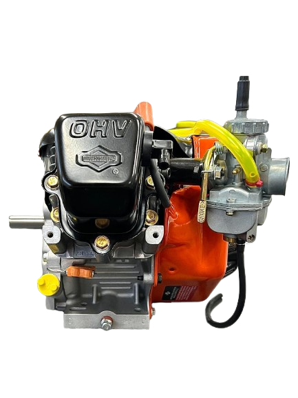 Canadian Briggs and Stratton LO206 Engine (Box Stock)